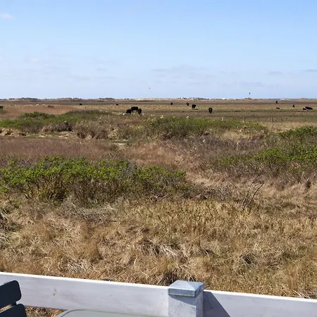 Blomma - 350m From The Sea By Interhome Lakolk