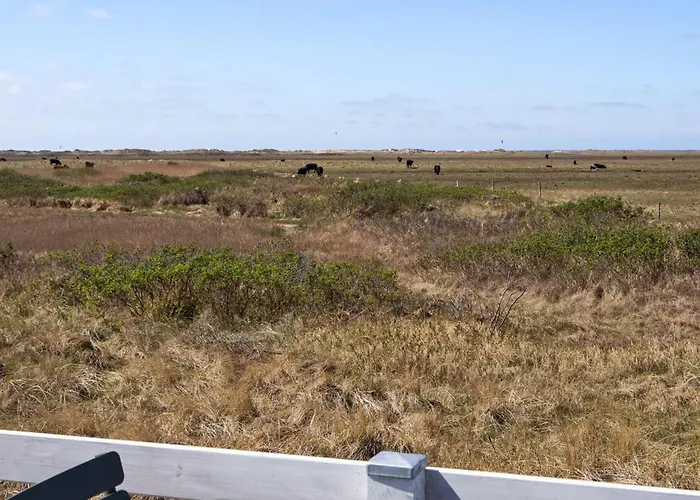 Blomma - 350m From The Sea By Interhome Lakolk